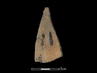 藏品(陶片)的圖片