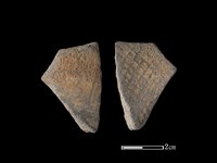 藏品(陶片)的圖片