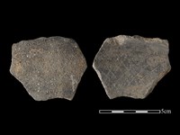 藏品(陶片)的圖片