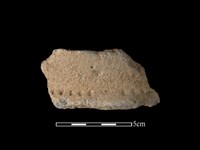 藏品(陶片)的圖片