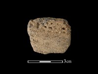 藏品(陶片)的圖片