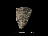 藏品(陶片)的圖片