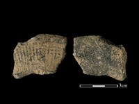 藏品(陶片)的圖片