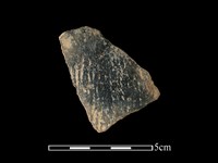 藏品(陶片)的圖片