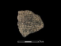 藏品(陶片)的圖片