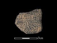 藏品(陶片)的圖片