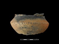 藏品(陶片)的圖片