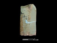 藏品(錛鑿形器)的圖片