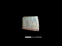 藏品(錛鑿形器)的圖片