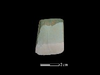 藏品(錛鑿形器)的圖片