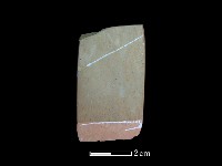 藏品(錛鑿形器)的圖片