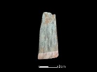 藏品(錛鑿形器)的圖片