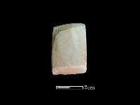 藏品(錛鑿形器)的圖片