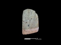 藏品(錛鑿形器)的圖片