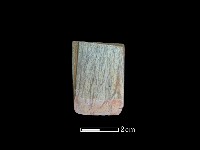 藏品(錛鑿形器)的圖片