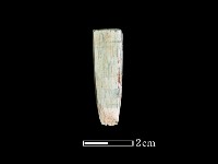 藏品(錛鑿形器)的圖片