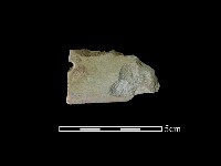 藏品(石刀)的圖片