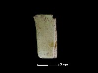 藏品(矛鏃形器)的圖片