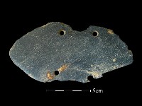 藏品(石鏟)的圖片