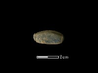 藏品(網墜)的圖片