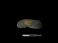 藏品(網墜)的圖片