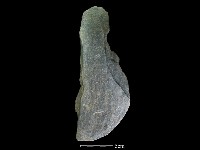 藏品(圓板形石器)的圖片