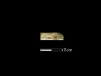 藏品(飾品)的圖片