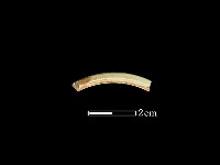 藏品(玉環)的圖片