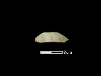 藏品(玉環)的圖片