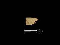 藏品(玉環)的圖片