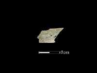 藏品(玉環)的圖片