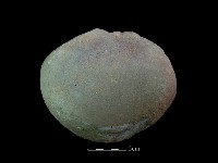 藏品(砥石)的圖片