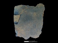 藏品(矛鏃形器)的圖片