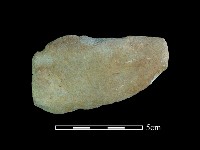 藏品(石刀)的圖片