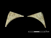 藏品(帶加工痕玉材)的圖片