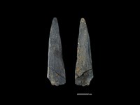 藏品(矛鏃形器)的圖片