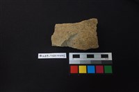 藏品(陶片)的圖片