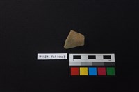 藏品(陶片)的圖片