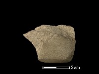 藏品(錛鑿形器)的圖片