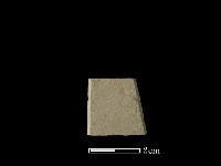 藏品(帶加工痕石材)的圖片