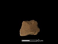 藏品(矛鏃形器)的圖片