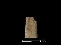 藏品(矛鏃形器)的圖片