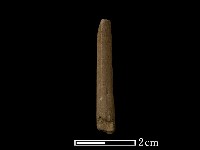 藏品(石針)的圖片