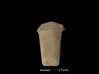 藏品(矛鏃形器)的圖片