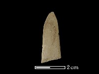 藏品(矛鏃形器)的圖片