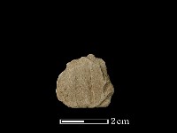 藏品(帶加工痕石材)的圖片