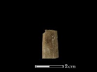 藏品(矛鏃形器)的圖片