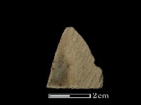 藏品(帶加工痕石材)的圖片