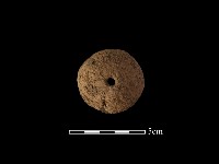 藏品(陶紡輪)的圖片