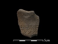 藏品(陶片)的圖片